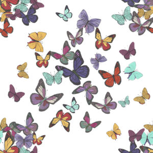 Butterflies