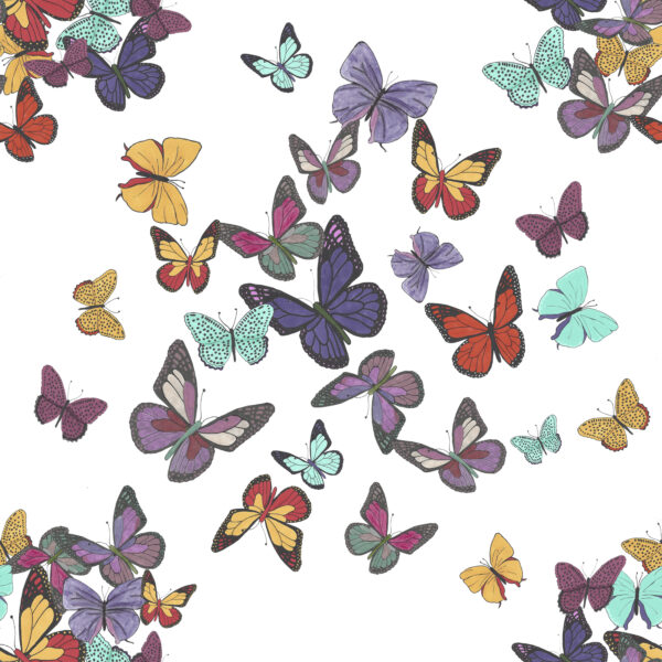 Kaleidoscope of Butterflies